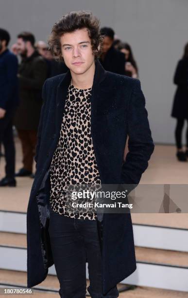 Harry Styles attends the Burberry Prorsum show during London Fashion Week SS14 at Kensington Gardens on September 16, 2013 in London, England.