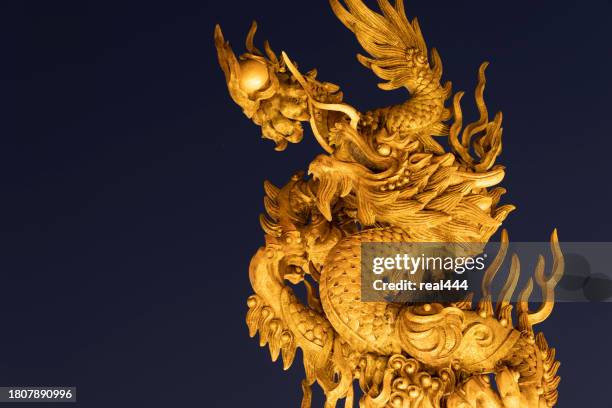 estatua de dragón de bronce en ciudad prohibida - dragon pekin fotografías e imágenes de stock