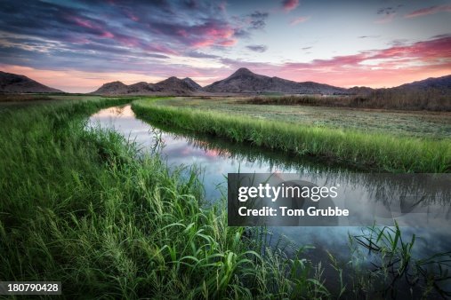 Tributary Tributary