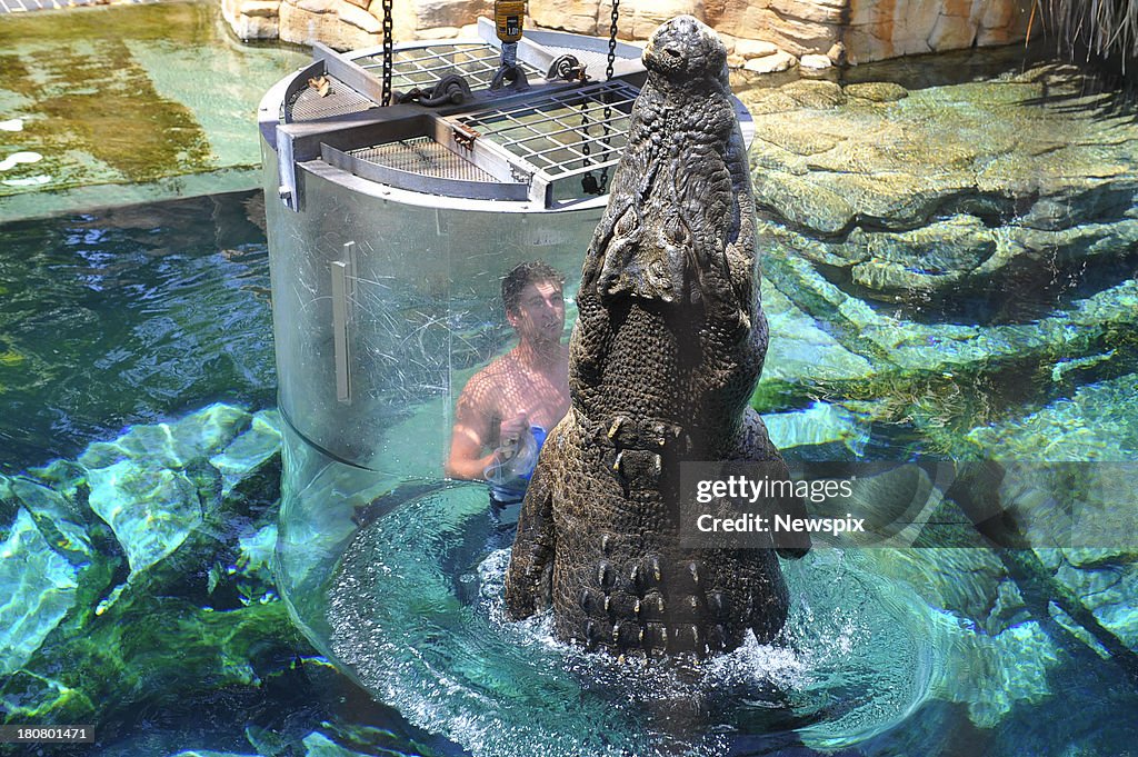 Gavin Faith In The Cage Of Death At Crocosaurous Cove