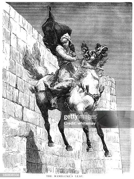 the mamluk's leap, egypt - jumping castle stock illustrations