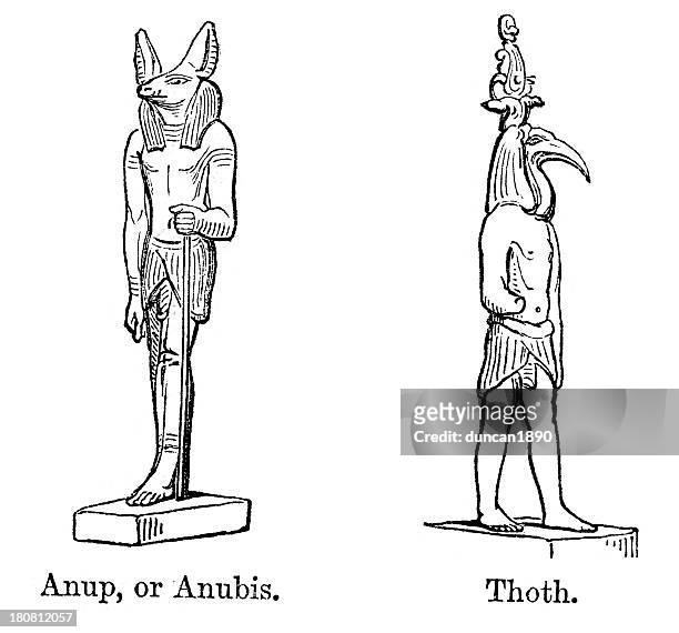 anubis and thoth - egyptian mythology stock illustrations