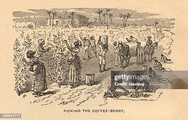 old, black and white illustration of slavery, from 1875 - slave holder stock illustrations