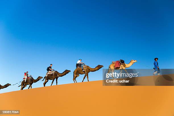 traveling on camels - egypt desert stock pictures, royalty-free photos & images