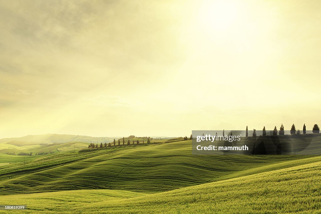 Val d'Orcia hillside sunset in Tuscany, Italy