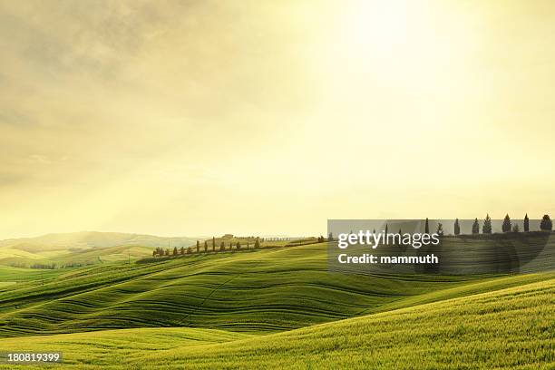 val d'orcia encosta pôr do sol na toscana, itália - paisagem ondulada imagens e fotografias de stock