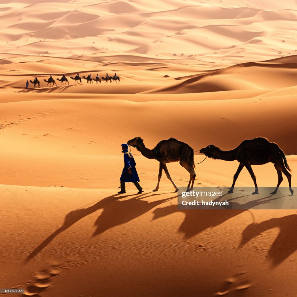 Junge Tuareg mit Kamelen auf Westliche Sahara in Afrika