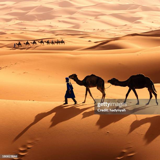 young tuareg with camels on western sahara desert in africa - camel train stock pictures, royalty-free photos & images