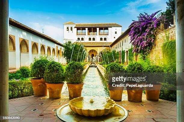 alhambra gardens - alhambra spanien bildbanksfoton och bilder