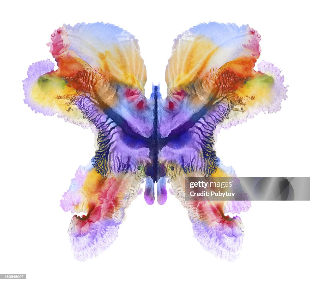 Painted Butterfly-Flower