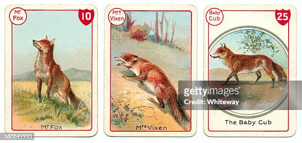 three fox playing cards victorian animal families game - cubs game stock illustrations