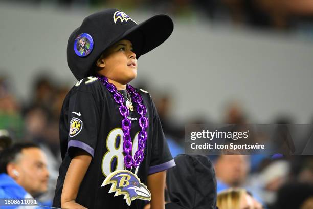 Little Raves Fan 3,602 Baltimore Ravens Fans Stock Photos, High-Res Pictures, and Images ...