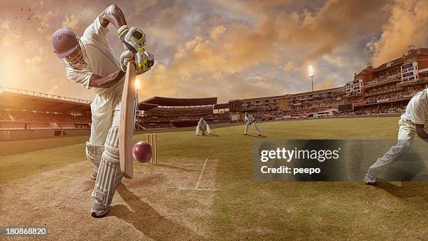 cricket batsman about to strike ball - cricket pitch stock pictures, royalty-free photos & images