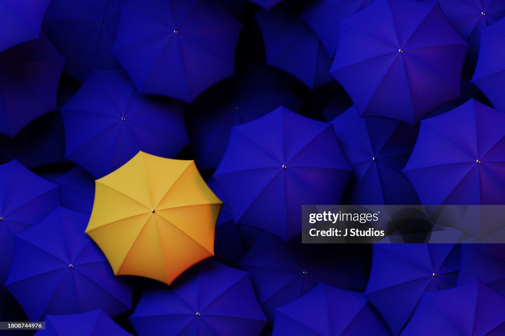 Standing out from the Crowd concept 2