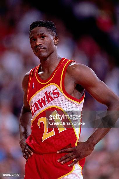 Dominique Wilkins of the Atlanta Hawks looks up at the scoreboard during a game played in 1992 at the Veterans Memorial Coliseum in Portland, Oregon....