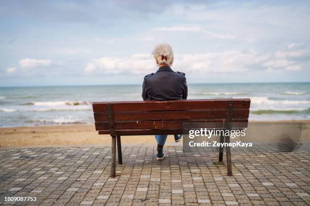 woman looking at the view next to sea on a bench. - bench stock pictures, royalty-free photos & images