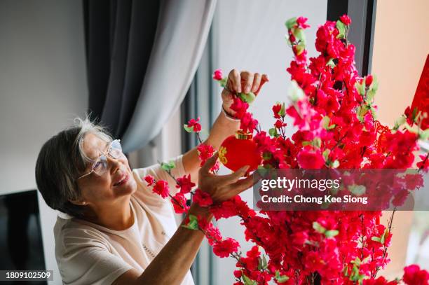 yeah~~chinese new year is coming. - prosperity stock pictures, royalty-free photos & images