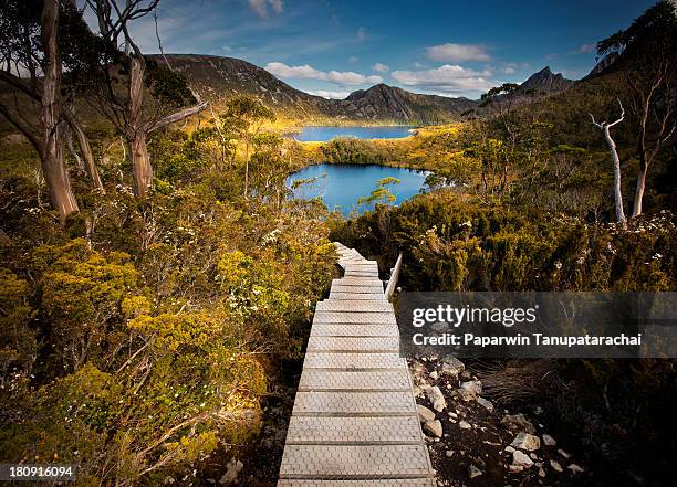 cradle mountain way - cradle mountain tasmania stockfoto's en -beelden