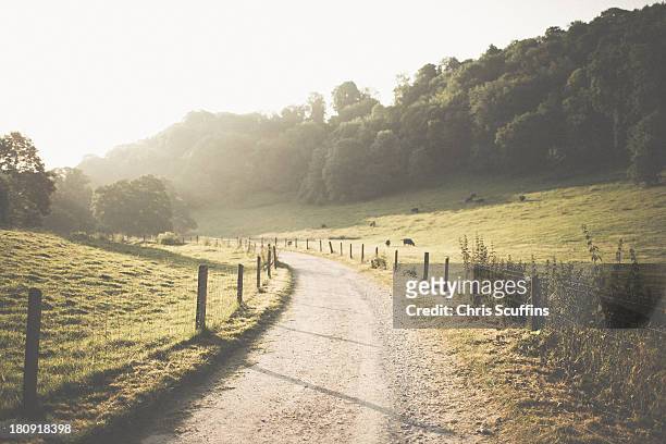 path at woodchester in the morning - cheshire england 個照片及圖片檔