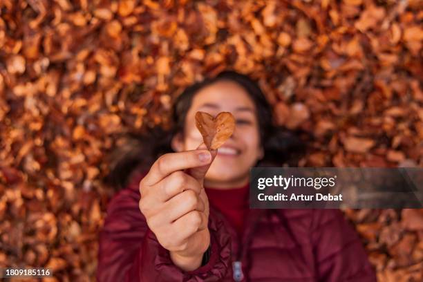 woman laying down holding a heart shaped leaf with autumn colors. - november stock pictures, royalty-free photos & images