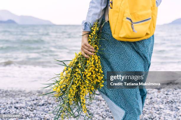 beautiful woman walking along the sea with yellow flowers mimosa. - acacia tree stock pictures, royalty-free photos & images