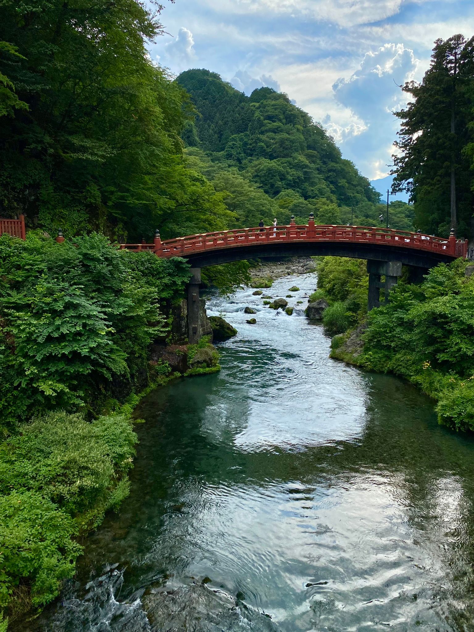 shikoku autumn