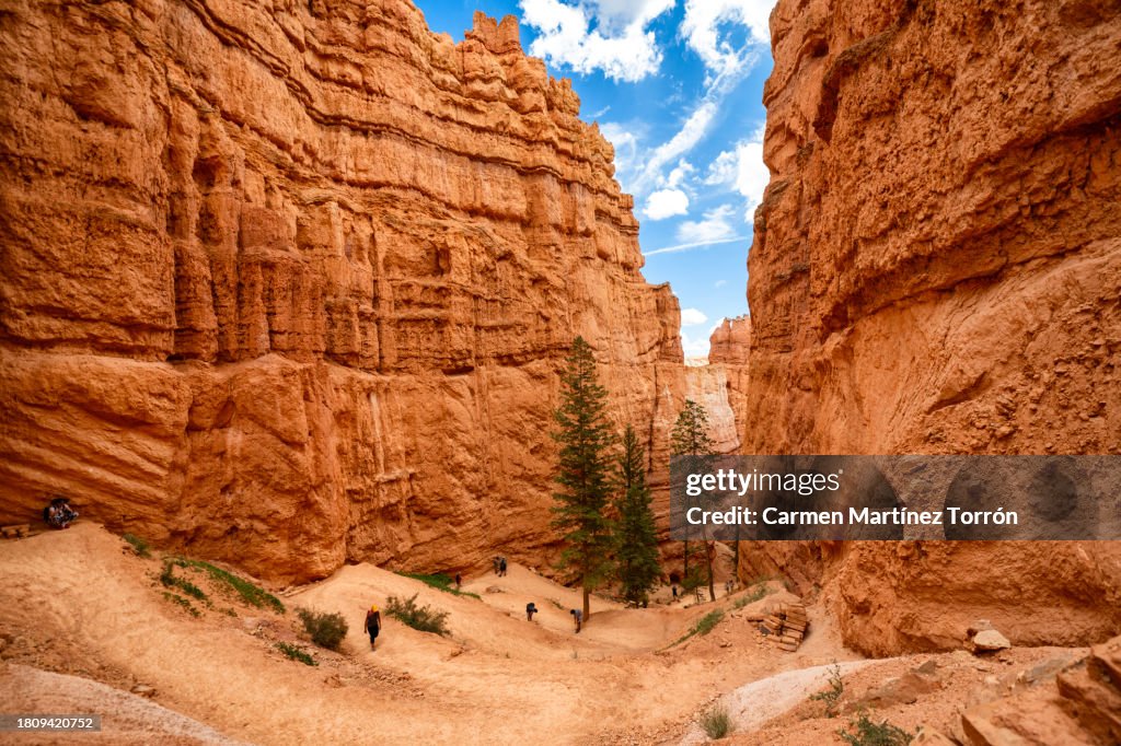Bryce Canyon, Navajo Loop Trail, Utah, USA.