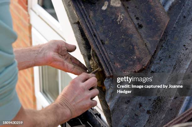 laying cement for edge tile on roof eaves - eaves - fotografias e filmes do acervo