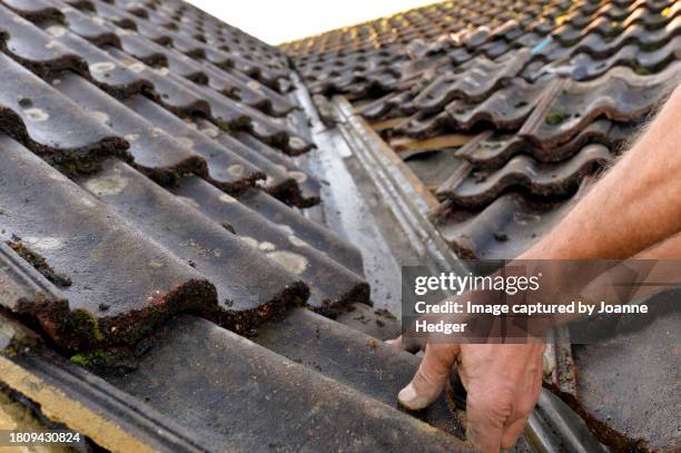 worker installing tiles on the roof - dakdekker stockfoto's en -beelden