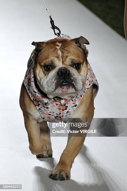 Model walks the runway during the Mulberry Ready to Wear Spring Summer 2014 show during London Fashion Week SS14 on September 15, 2013 in London,...