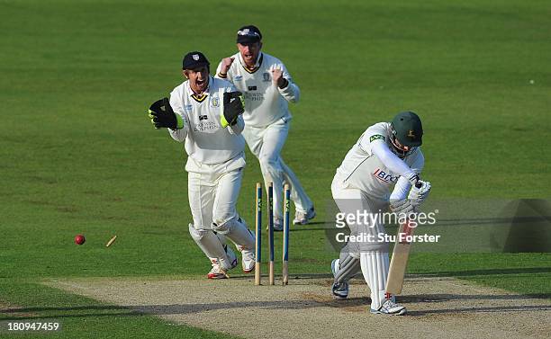 Durham players Phil Mustard and Paul Collingwood celebrate as Notts batsman Paul Franks is bowled by Scott Borthwick during day two of the LV County...