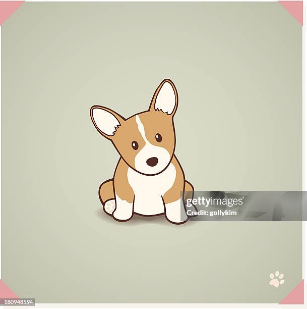 illustrazioni stock, clip art, cartoni animati e icone di tendenza di welsh corgi cucciolo - pembroke welsh corgi puppy