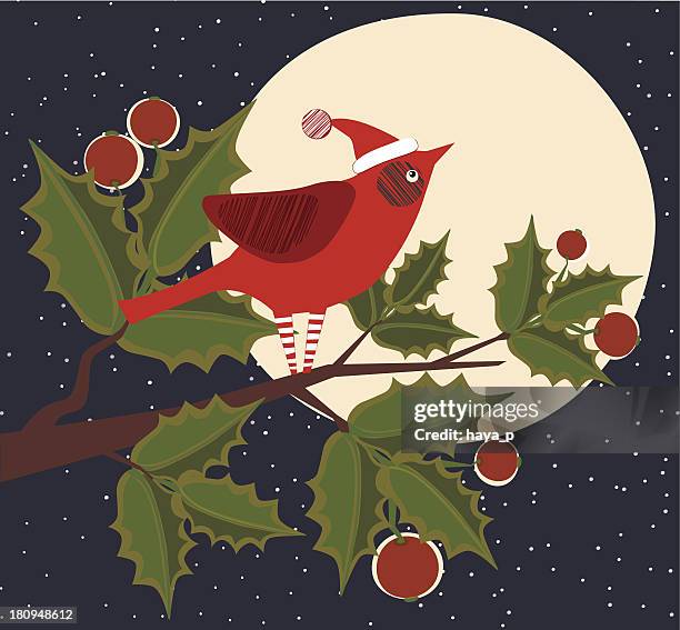 ilustrações de stock, clip art, desenhos animados e ícones de cardeal com holly árvore, lua, inverno - blue cardinal bird