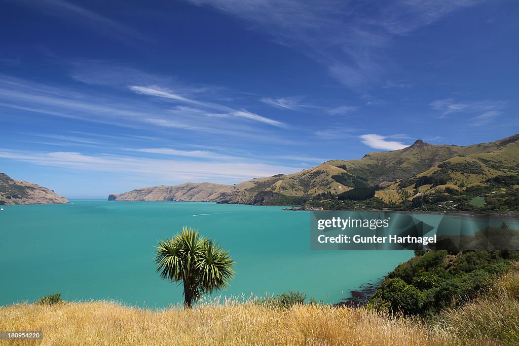 Scenery near Akaroa