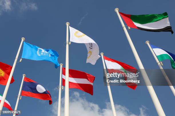 Flags of the United Nations , left, and the United Arab Emirates, right, outside the Green Zone entrance ahead of the COP28 climate conference at...
