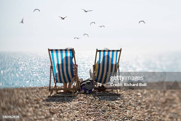 two people on deckchairs and seagulls - deckchair stock pictures, royalty-free photos & images