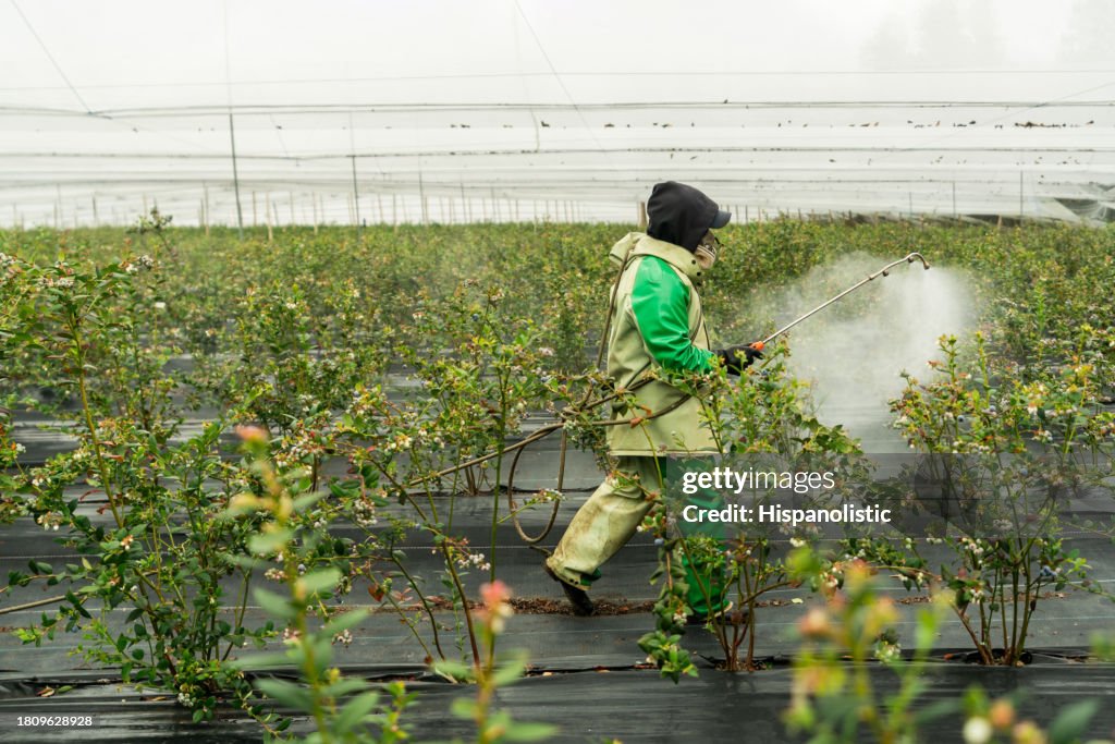 Farm worker spraying herbicides on a crop