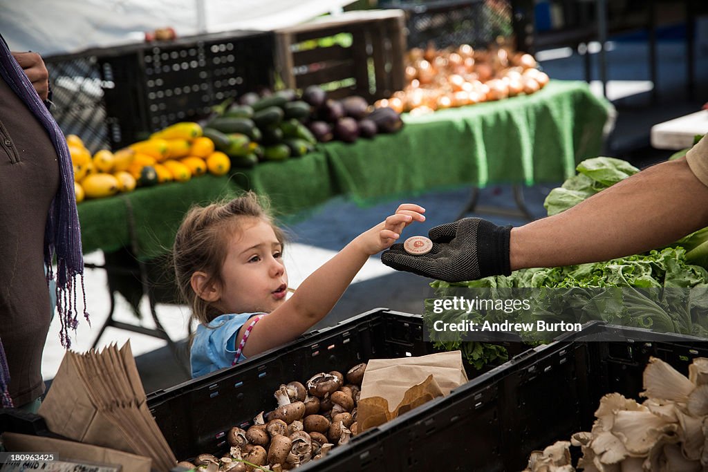 Food Stamps Help Bridge Gap For 20 Percent Of Americans Who Struggle With Hunger