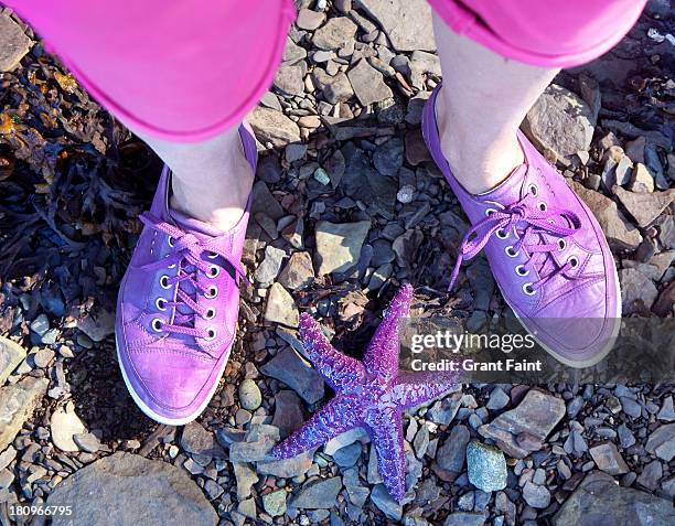 woman and starfish on beach - purple shoe stock pictures, royalty-free photos & images