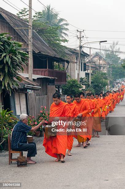 monks collecting food alms - ルアンパバン ストックフォトと画像