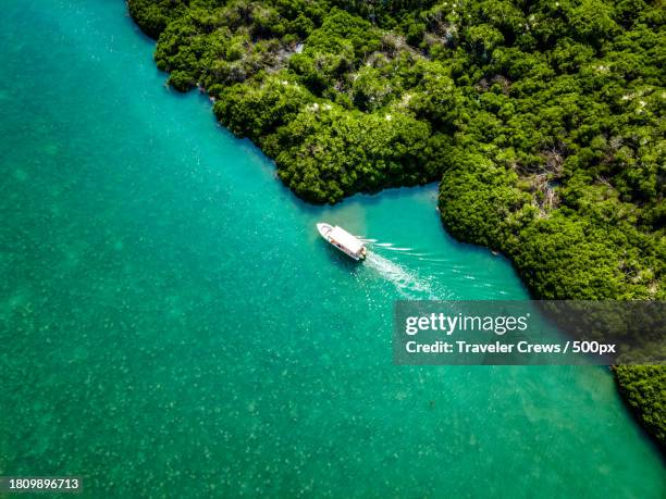 high angle view of boat sailing in sea,farasan,jazan province,saudi arabia - saudi arabia beach stock pictures, royalty-free photos & images