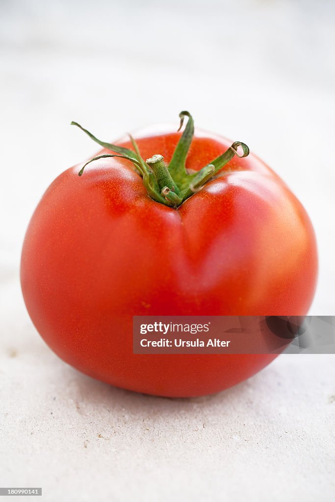 Ripe italian tomato