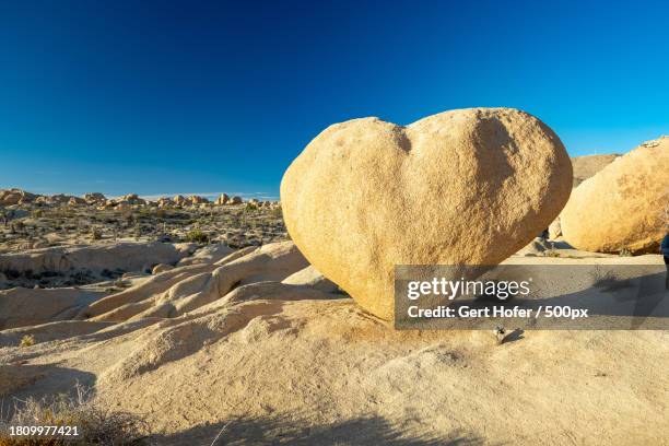 heart rock at joshua tree national park,joshua tree national park,united states,usa - joshua tree national park sunset stock pictures, royalty-free photos & images