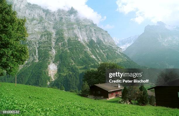 Grindelwald/Schweiz, Europa, Reise, , Berghütte, Natur, Berge, Alpen, Bäume, Wiese,