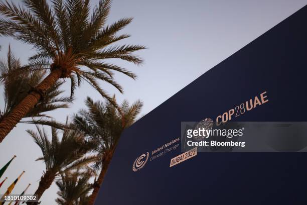 Palm trees alongside an event sign ahead of the COP28 climate conference at Expo City in Dubai, United Arab Emirates, on Wednesday, Nov. 29, 2023....