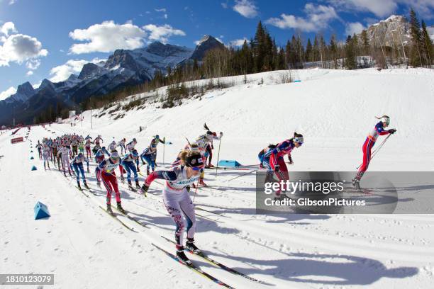 women's world cup cross-country ski race at the canmore nordic centre provincial park in alberta, canada - cross country ski stock pictures, royalty-free photos & images