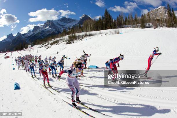 women's world cup cross-country ski race at the canmore nordic centre provincial park in alberta, canada - professional skiers stock pictures, royalty-free photos & images