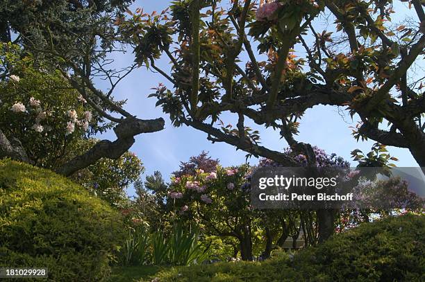 Seattle, Blumen in bester Wohngegend der Stadt, Bundesstaat Washington, USA, Amerika, Nordamerika, Reise, 532/2003,