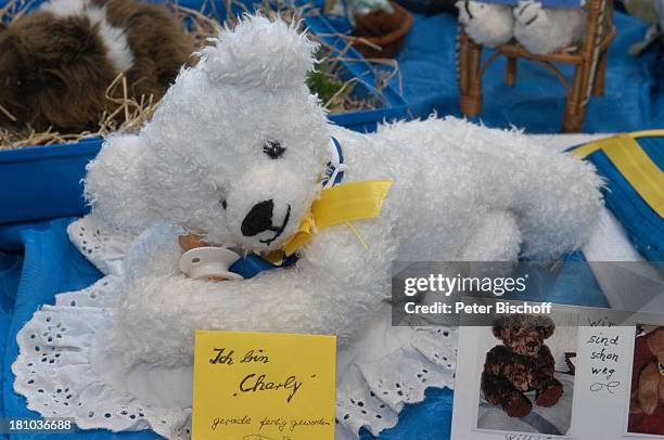 Teddybären-Ausstellung, Potsdam, 8.11.2003,;Teddy, Teddybär, Bär, Baer, Bären, Baeren, historisch Geburtstag, Potsdamer Bahnhofspassagen, Plüsch,...