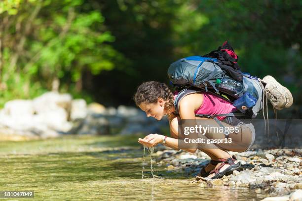 hiker drinking water from river - cupping water stock pictures, royalty-free photos & images